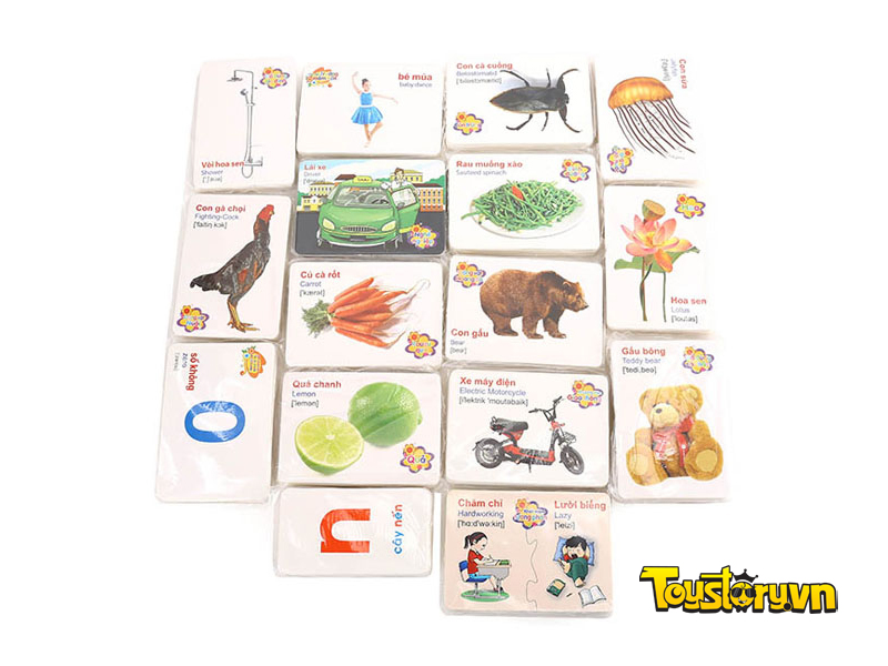 Thẻ Học Song Ngữ